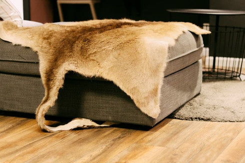 Roo Skins